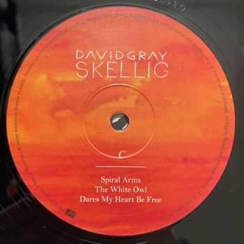 2LP David Gray: Skellig