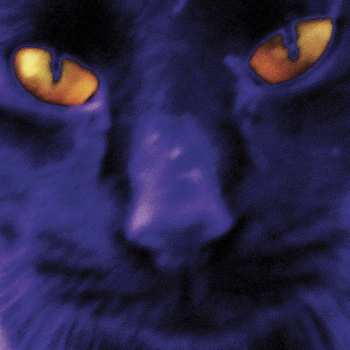 CD David Kilgour: Bobbie's A Girl