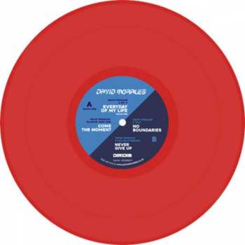 Album David Morales: Rise Album Sampler