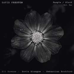 LP David Preston: Purple / Black Vol. 2