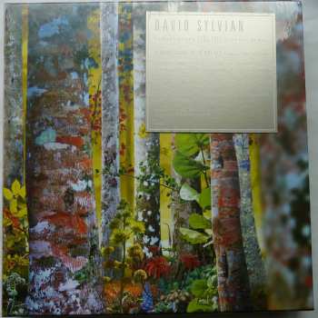 11CD/Caja David Sylvian: Samadhisound 2003-2014 Do You Know Me Now?