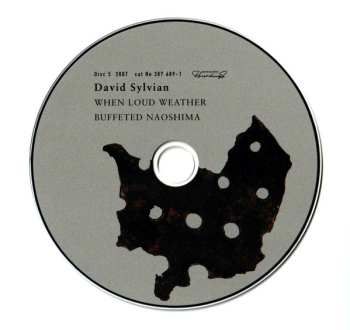11CD/Caja David Sylvian: Samadhisound 2003-2014 Do You Know Me Now?