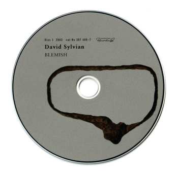 11CD/Caja David Sylvian: Samadhisound 2003-2014 Do You Know Me Now?