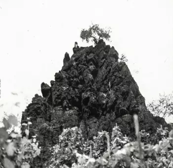 Davids,kat: Winterswell