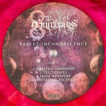 LP Dawn Of Ouroboros: Velvet Incandescence CLR | LTD