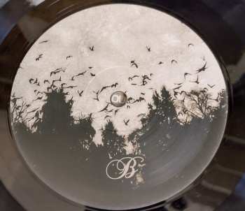 LP Dawn Of Solace: The Darkness LTD | CLR