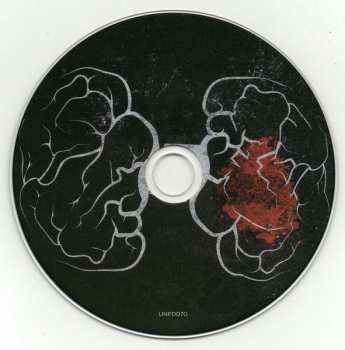 CD Dead Letter Circus: Aesthesis