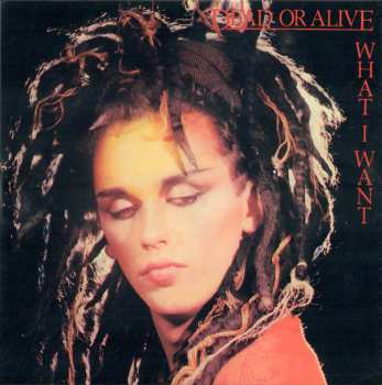 27CD/Caja Dead Or Alive: Still Spinnin' - The Singles Collection 1983-2021 LTD