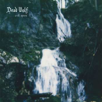 Album Dead Wolf: Evil Spirit