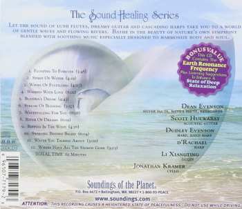 CD Dean Evenson: Healing Waters
