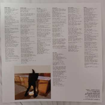 LP Death Grips: The Money Store