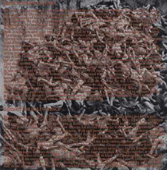 CD Debodified: Utopia In The Eyes Of A Beast