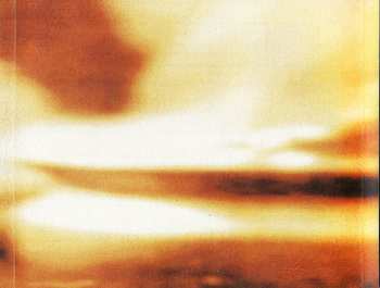 CD December's Fire: Vae Victis