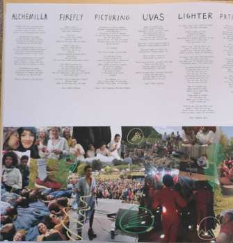 LP Deep Throat Choir: In Order To Know You