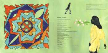 LP Deerhoof: The Magic LTD | CLR