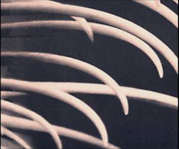 2LP Delerium: Syrophenikan LTD | CLR