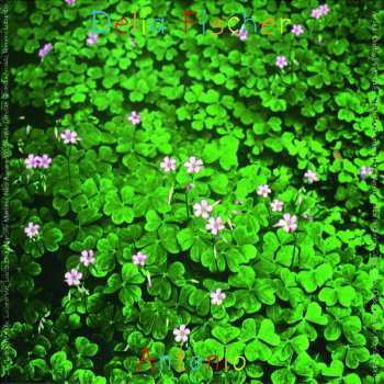 Album Delia Fischer: Antonio