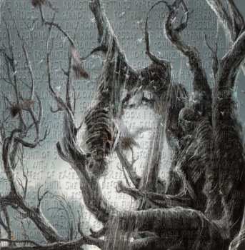 CD Delusional Parasitosis: Ingurgitating Intestinal Rot