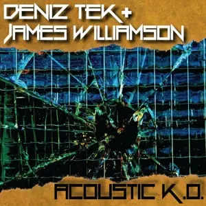 James Williamson: Acoustic K.O.