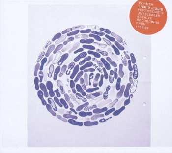 CD Dennis Young: Reel To Real