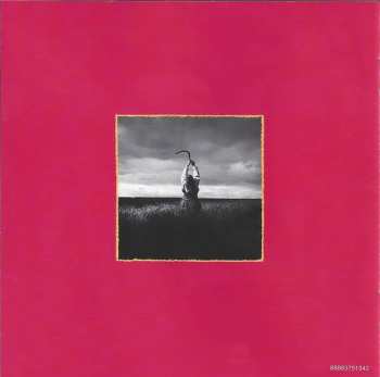 CD Depeche Mode: A Broken Frame