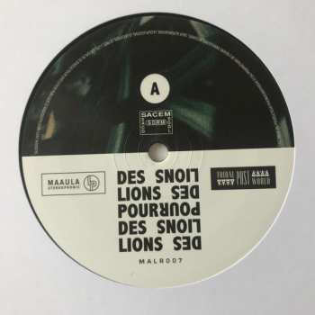 LP Des lions pour des lions: Derviche Safari