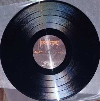 LP Desultory: Bitterness LTD