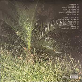 LP Diesel: Bootleg Melancholy CLR