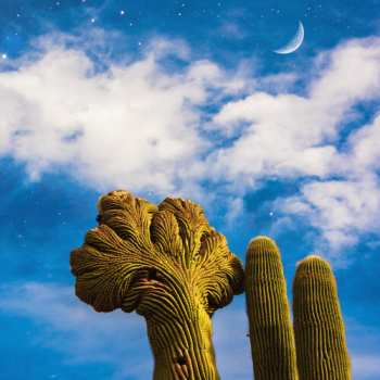 Album Diespnea: Radici