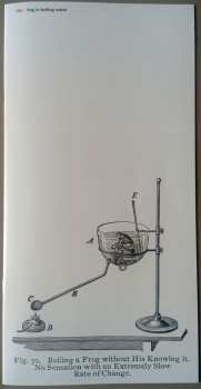 LP DIIV: Frog In Boiling Water CLR | LTD