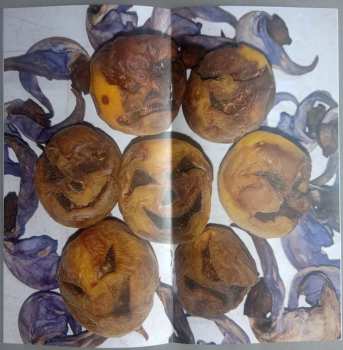 LP DIIV: Frog In Boiling Water CLR | LTD