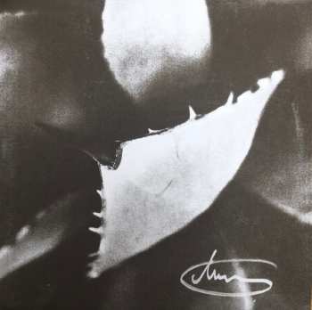 Album Dirk Serries: Epitaph