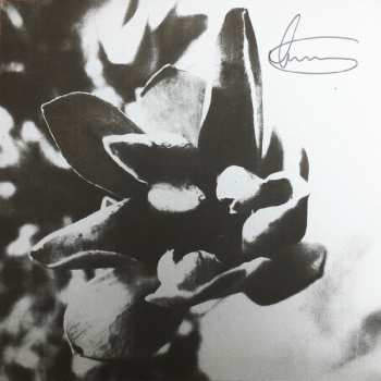 2LP Dirk Serries: Epitaph LTD | NUM