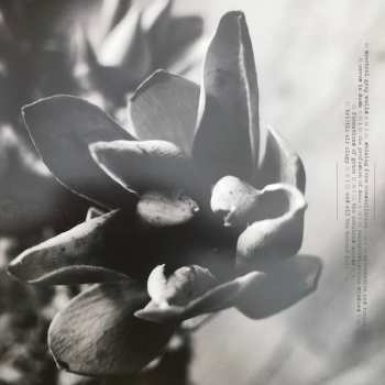 2LP Dirk Serries: Epitaph LTD | NUM