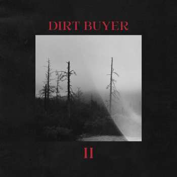 CD Dirt Buyer: Dirt Buyer Ii