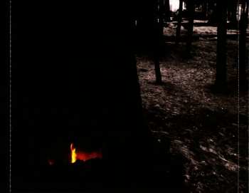 CD Dismantled: The War Inside Me