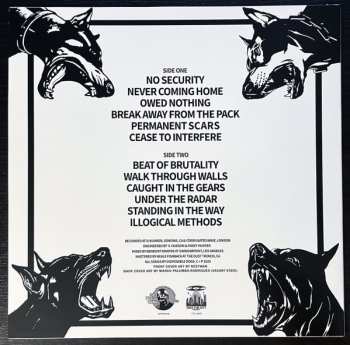 LP Disposable Dogs: Disposable Dogs