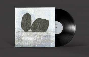 LP Distant Animals: Lines