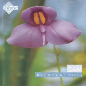 Underground Vibes