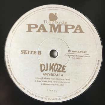 2LP/SP DJ Koze: Amygdala LTD