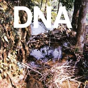 LP DNA: A Taste Of DNA