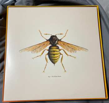 10LP/Caja Doctor Who: Hornets' Nest CLR | LTD