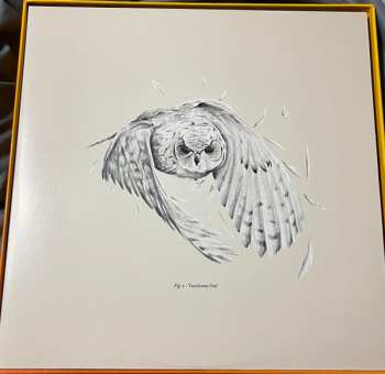 10LP/Caja Doctor Who: Hornets' Nest CLR | LTD