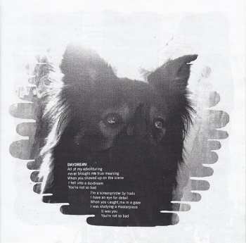 LP Dog Day: Deformer