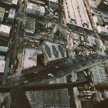 CD Show Me The Body: Dog Whistle