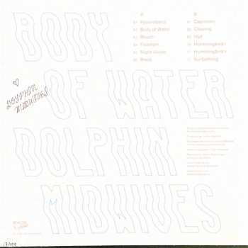 LP Dolphin Midwives: Body Of Water LTD | CLR