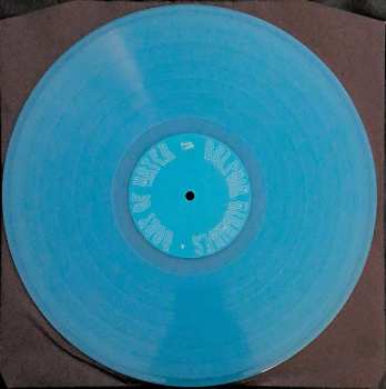 LP Dolphin Midwives: Body Of Water LTD | CLR