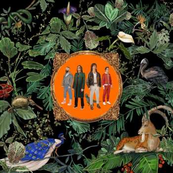 Album Don Broco: Amazing Things