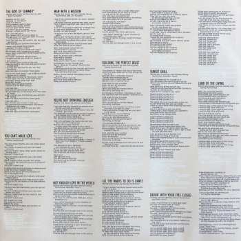 LP Don Henley: Building The Perfect Beast