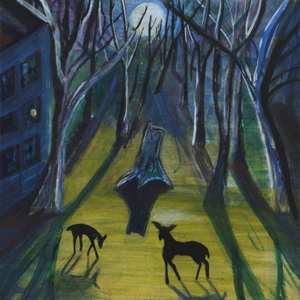 Album Donovan Quinn: Absalom